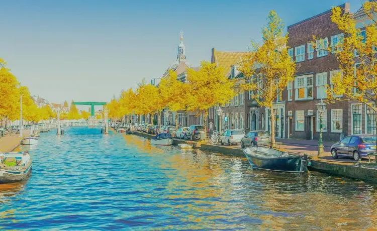 2026 Spring Allotrope Connect Workshop conference